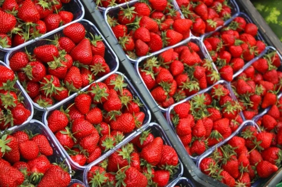    Виноваты заморозки.