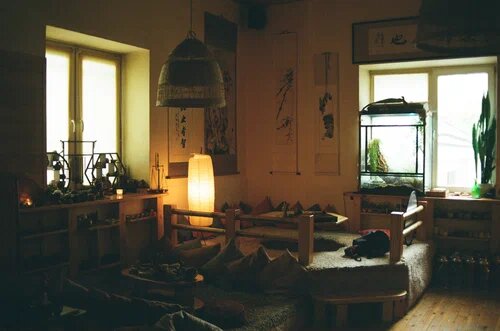 В террариуме живет местная ящерица, которую все называют "Динозавр"