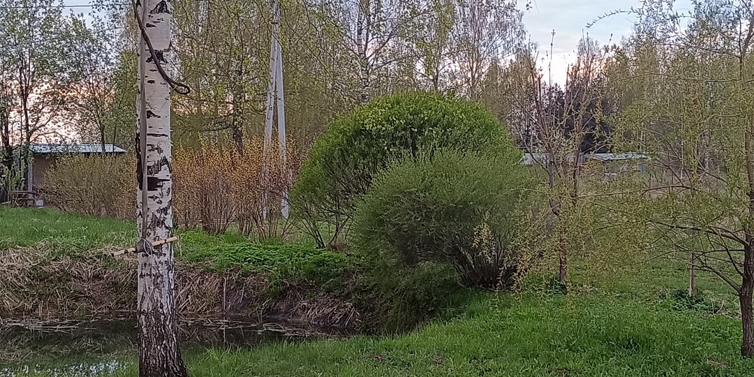 Погода вносит коррективы в наши планы))