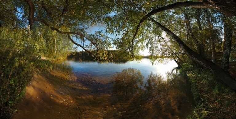    Фото: Мосприрода Екатерина Шахнина
