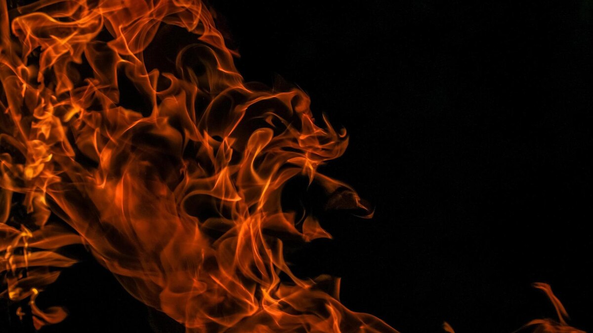    Фото: pixabay.com