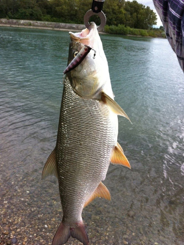 Фото с сайта: https://sun9-57.userapi.com