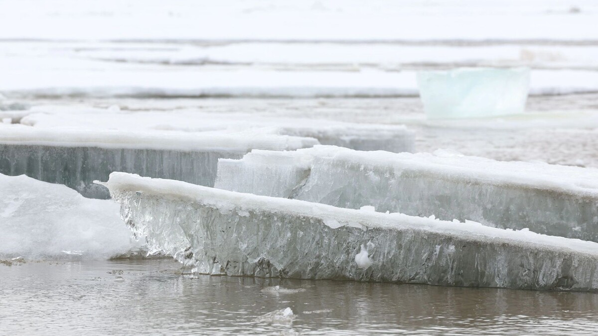    Фото: Андрей Ткачев/«Ямал-Медиа»