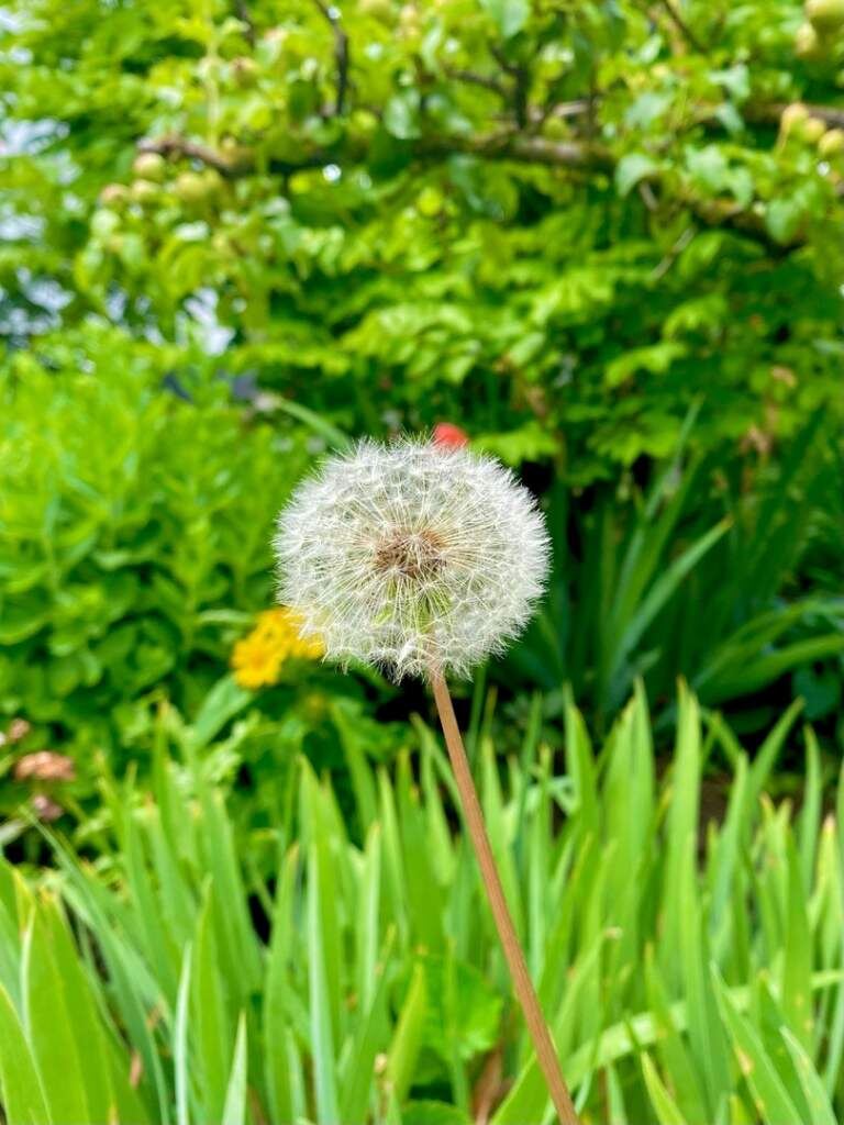    фото Людмила Сахарчук Веселовские вести