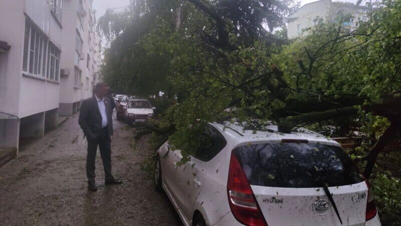     Источник: Администрация Изобильненского округа