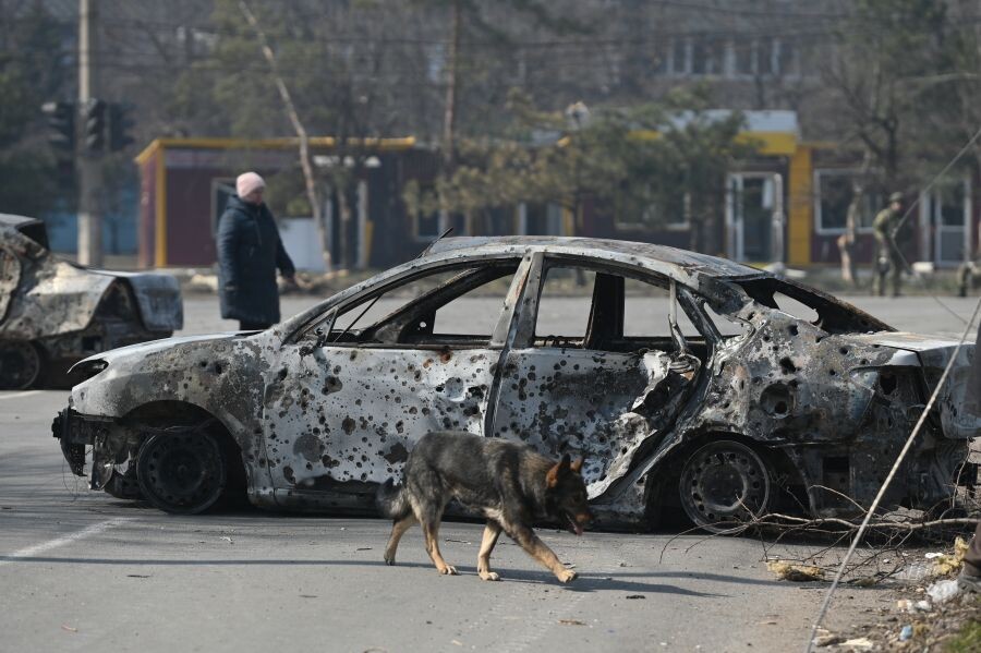     / Источник: ©РИА Новости/Максим Блинов