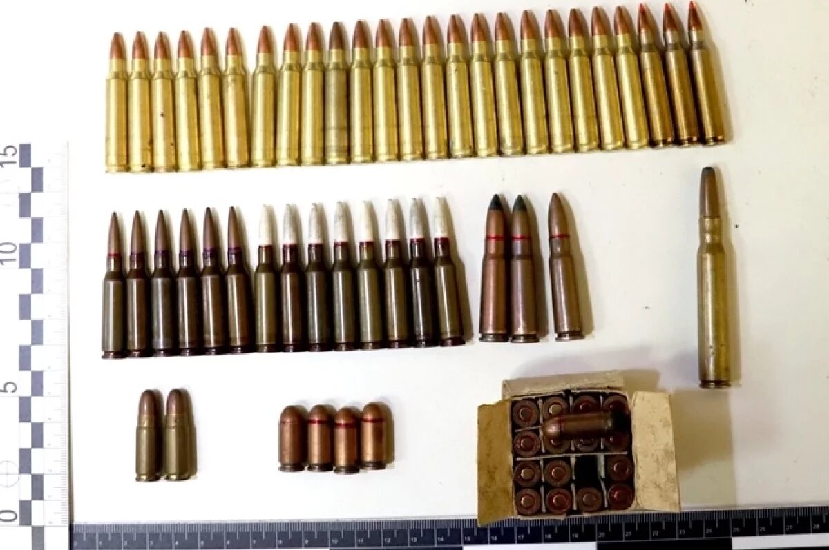    На Южном Урале УФСБ ликвидирован тайник со средствами поражения