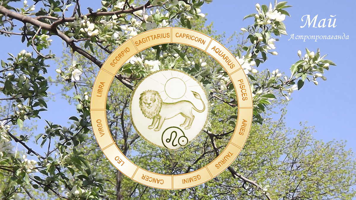Гороскоп для Льва с 5 мая по 1 июня 2025. 