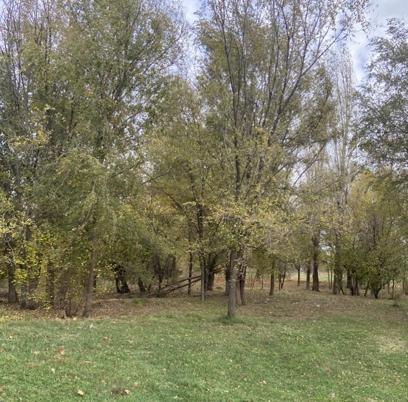    Фото для иллюстрации: "Веселовские вести" Веселовские вести