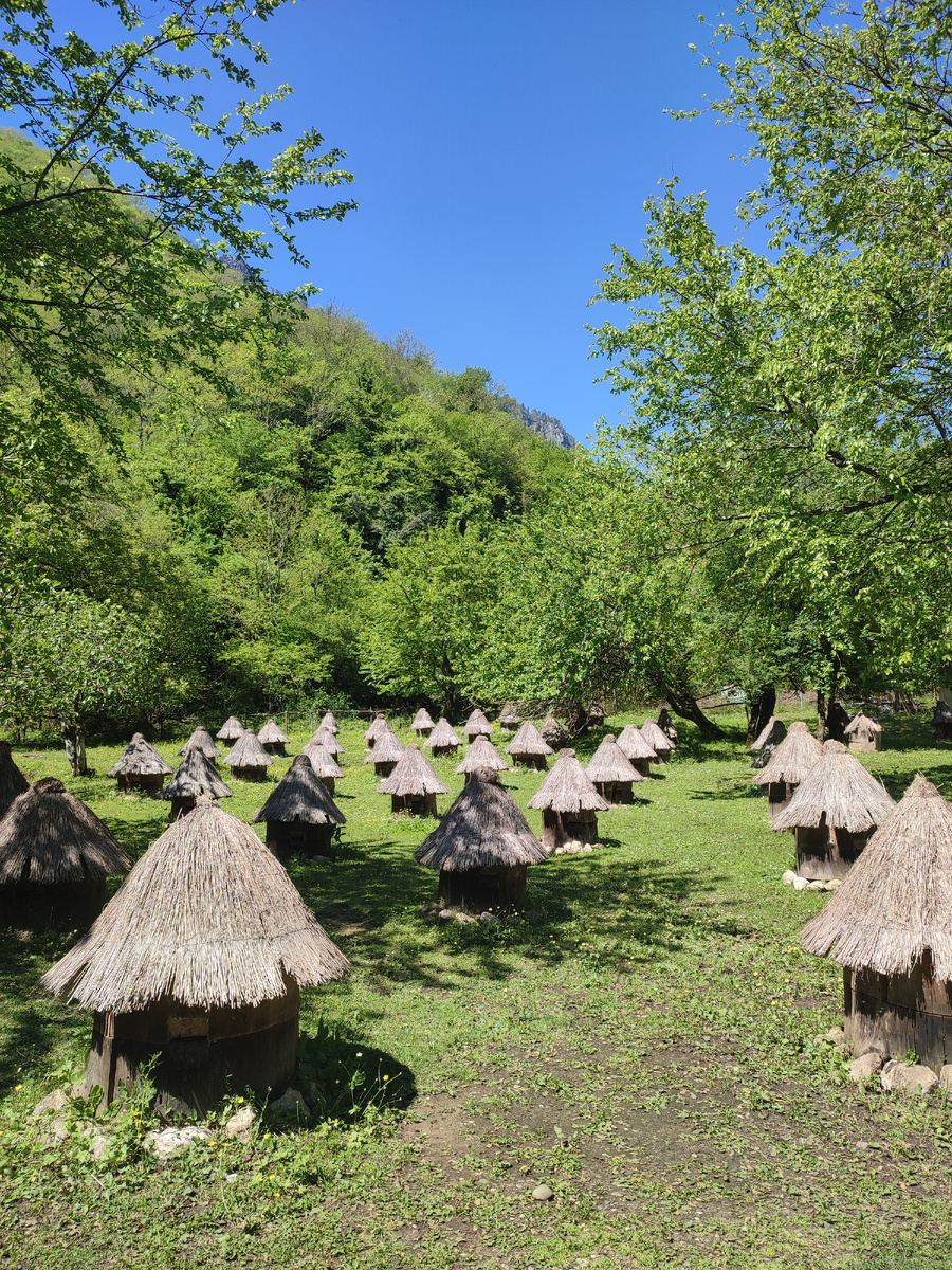 Чистые яркие краски неба и зелени...                 
