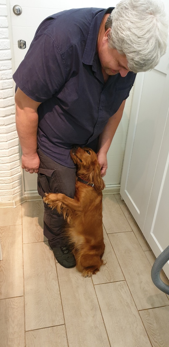 Собака-обнимака, не вырвешься