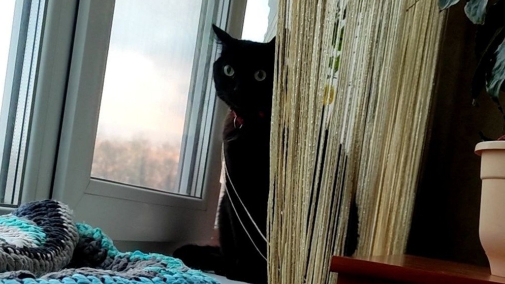 Сказали, что скоро придут, а самих уже второй день нету