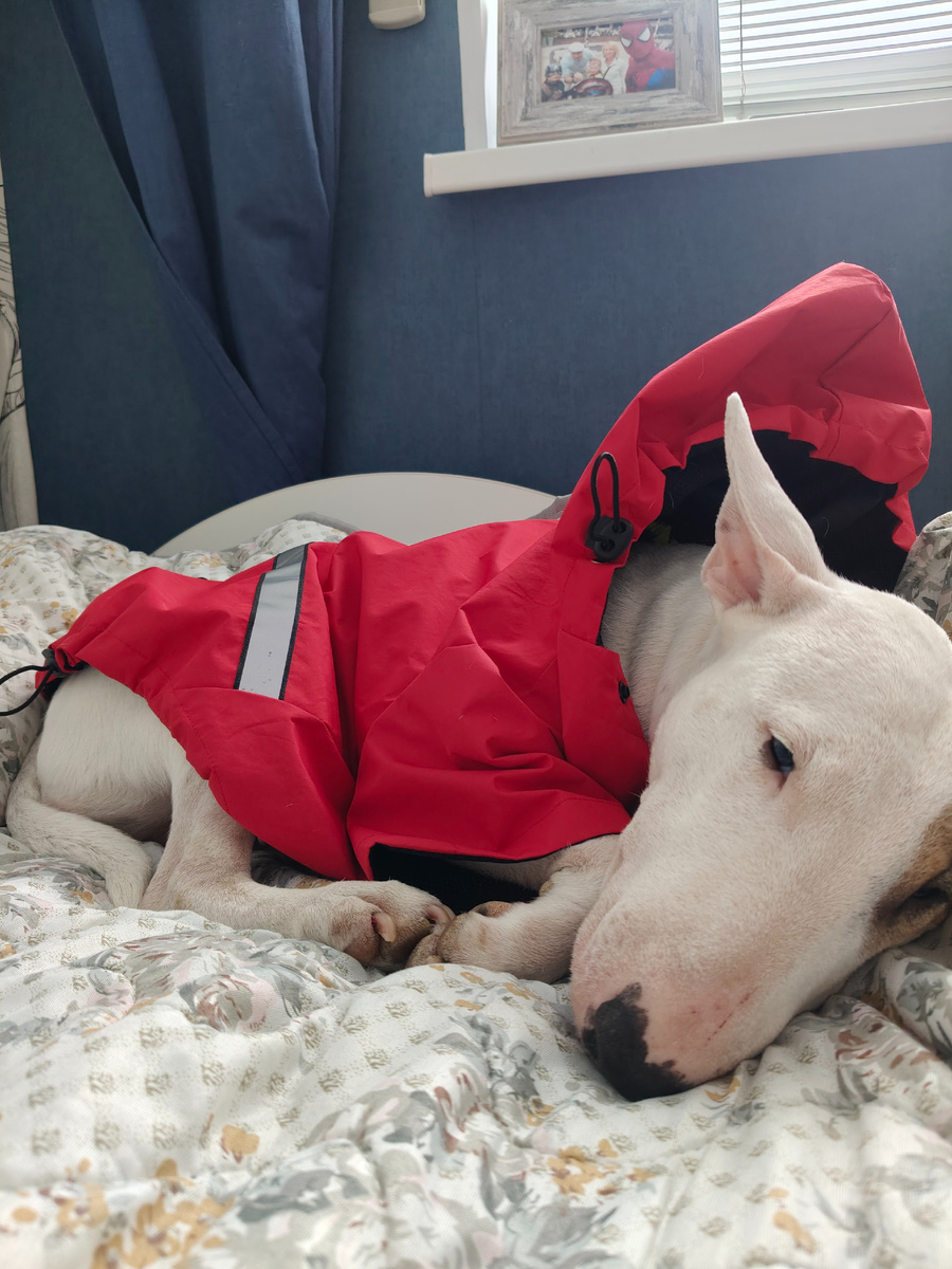 Ри не любит одеваться