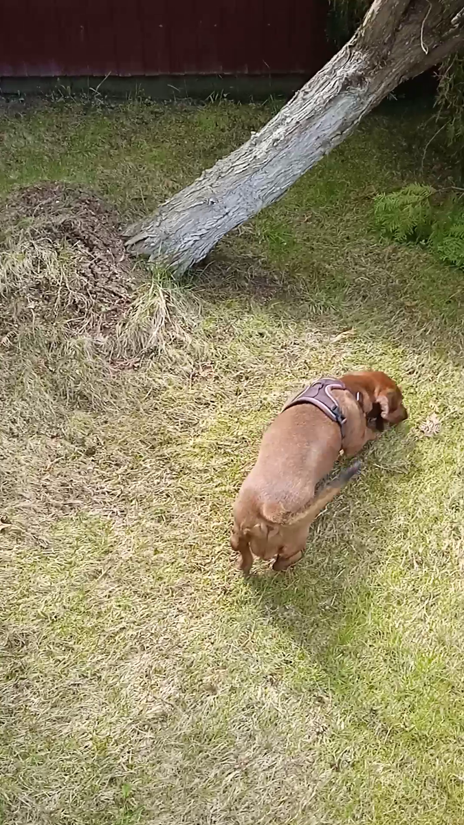 Имущество, понимаете ли!