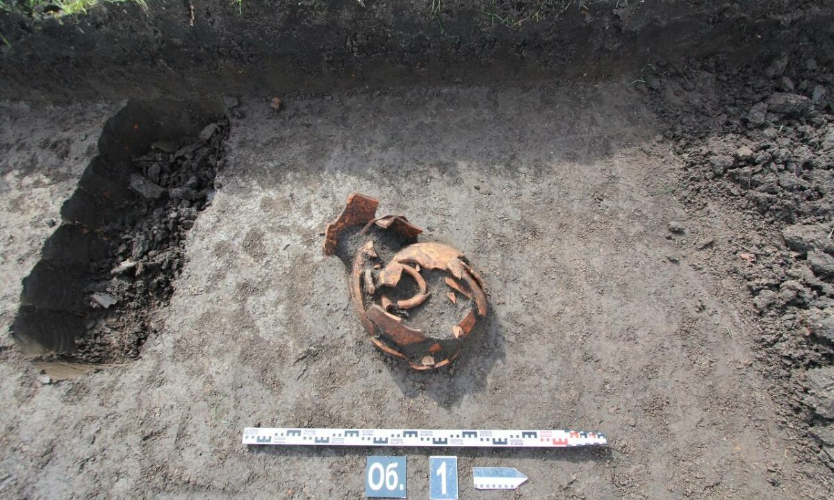    Фото t.me/muratkumpilov