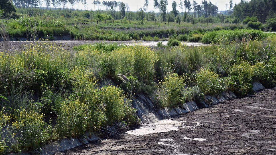 Фото: Олег Харсеев / Коммерсантъ