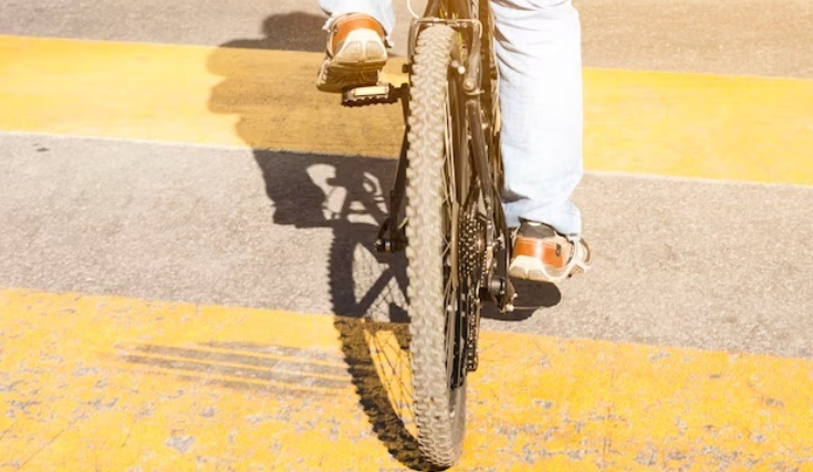    Фото: ru.freepik.com Екатерина Шахнина