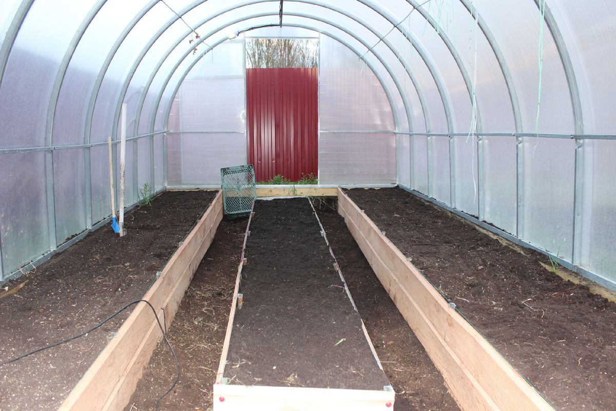 Вот такие прекрасные грядки в теплице получились