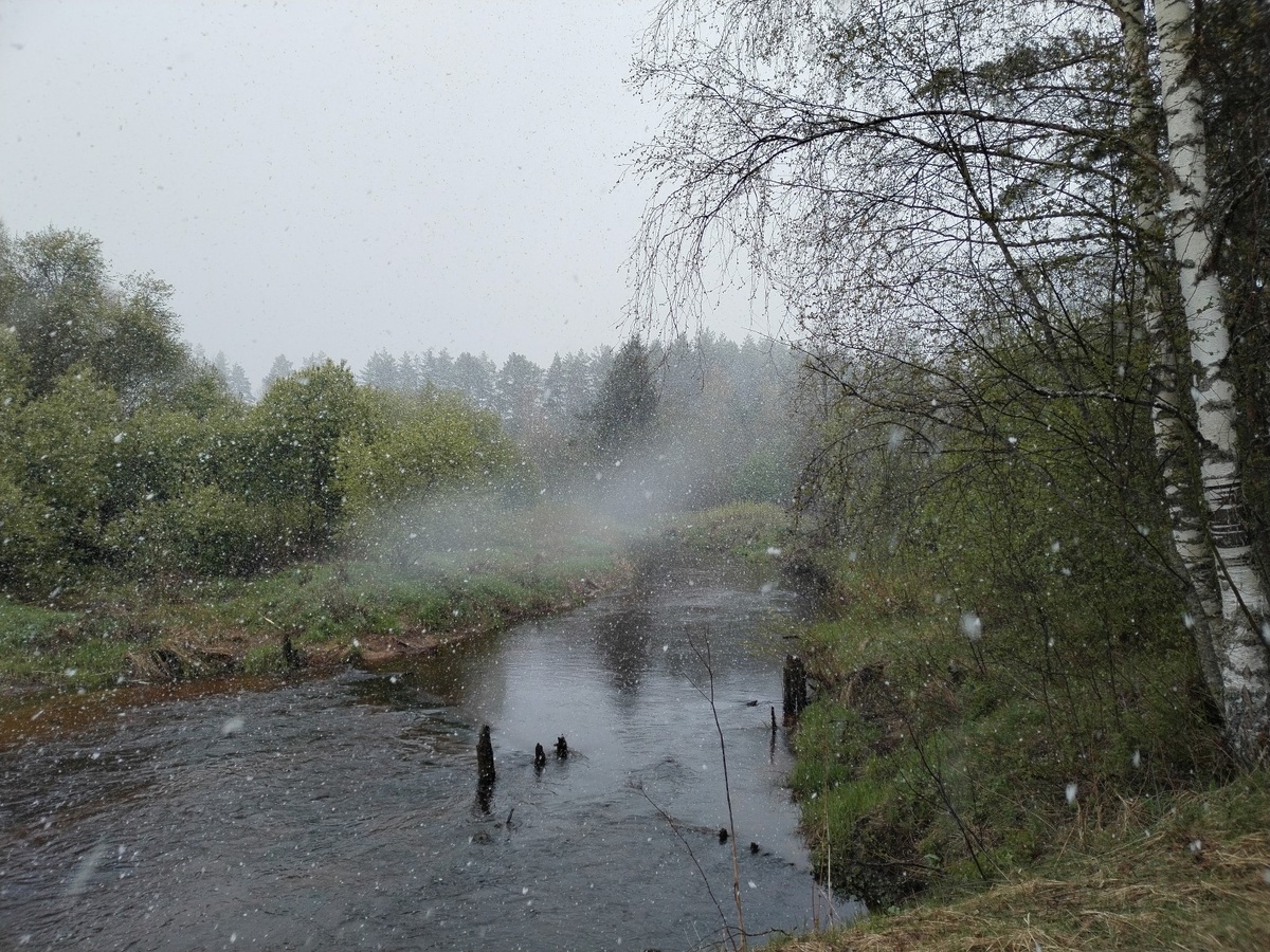 Велеса около д. Острожки