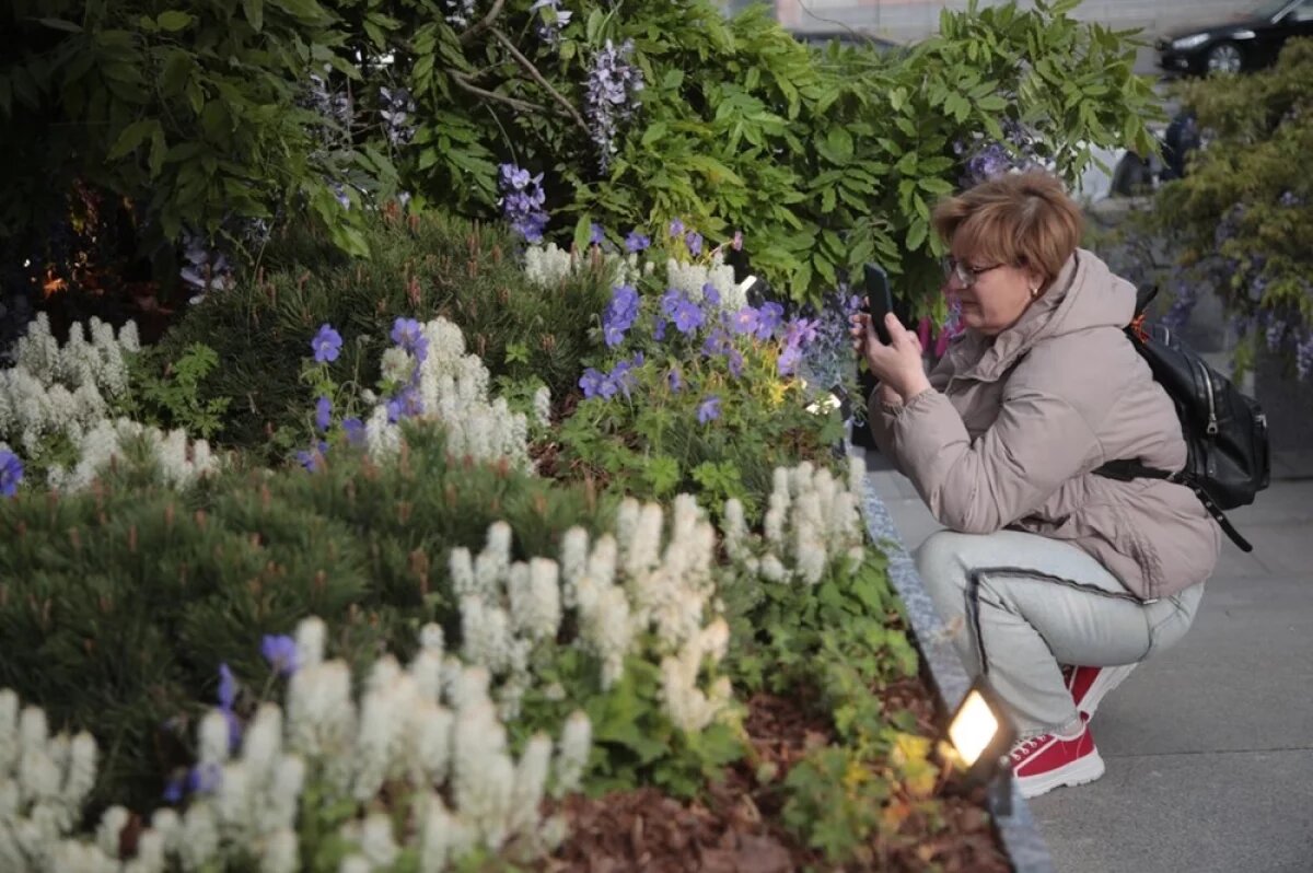   Фестиваль «Сады и цветы».