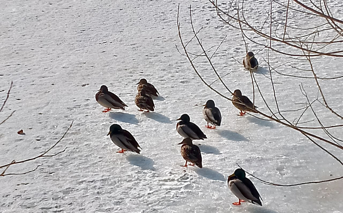 Хлеб может спасти чью-то жизнь.