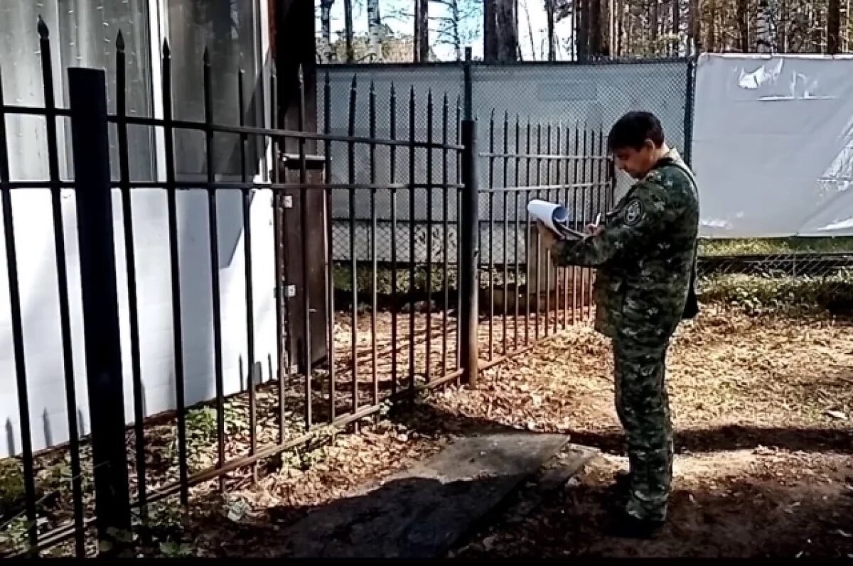    Минтербез опроверг причастность иностранцев к гибели девушки в Перми