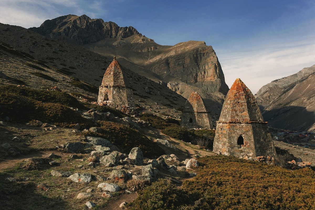 Фото из интернета 