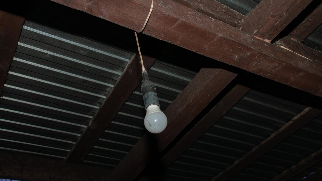    Фото: Svetlana Vozmilova/Global Look Press