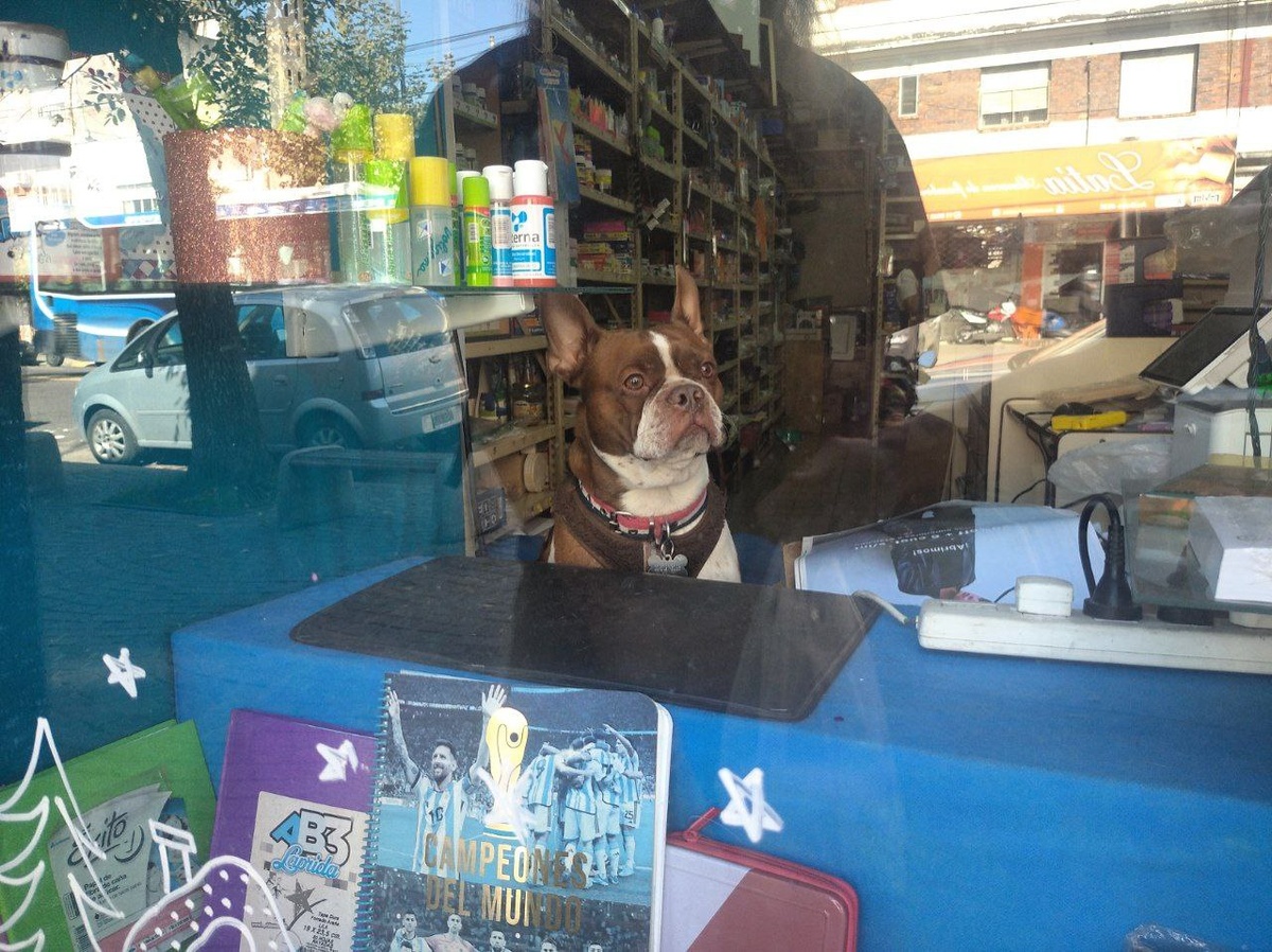 Фото автора и других участников