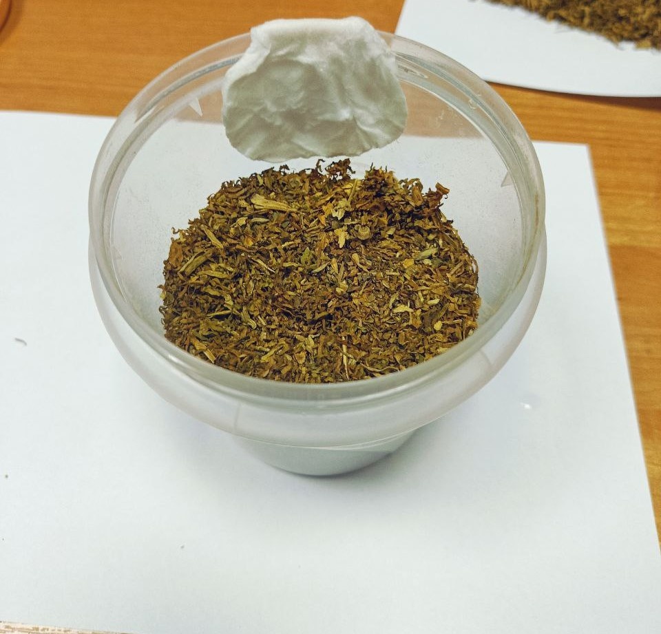 Смоченный ватный диск лежит в таре с табаком