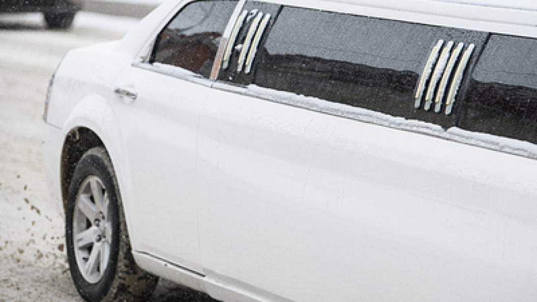    Фото: Ilya Moskovets/URA.RU/Globallookpress