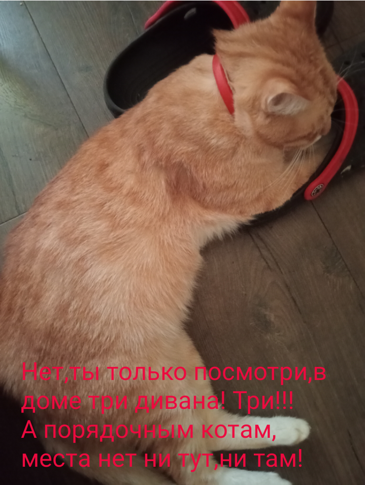 Ну если честно,есть у меня лежанка,на ней жарко, в доме отопление хозяин прибавил!