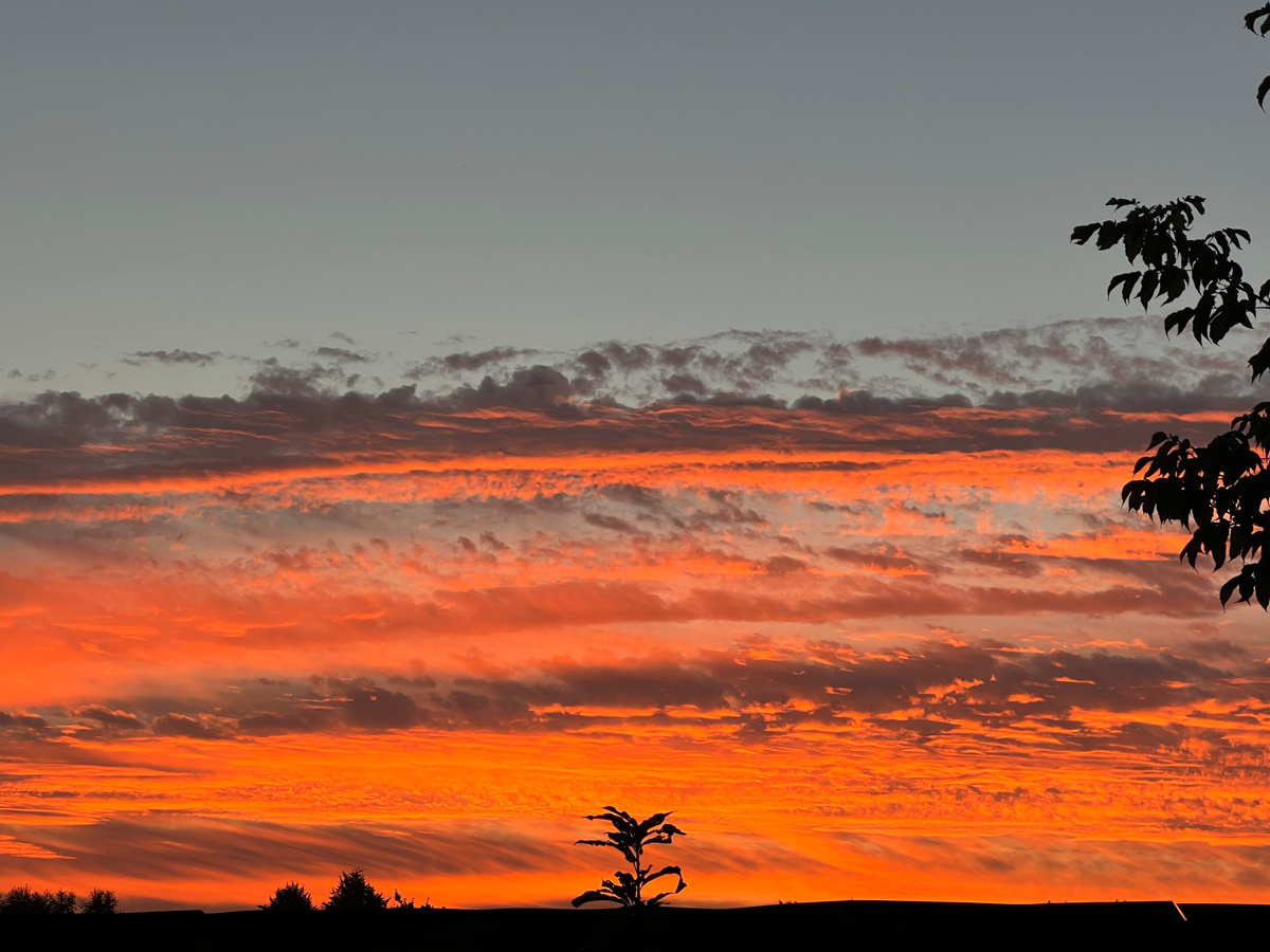 Фото © «Московская газета»