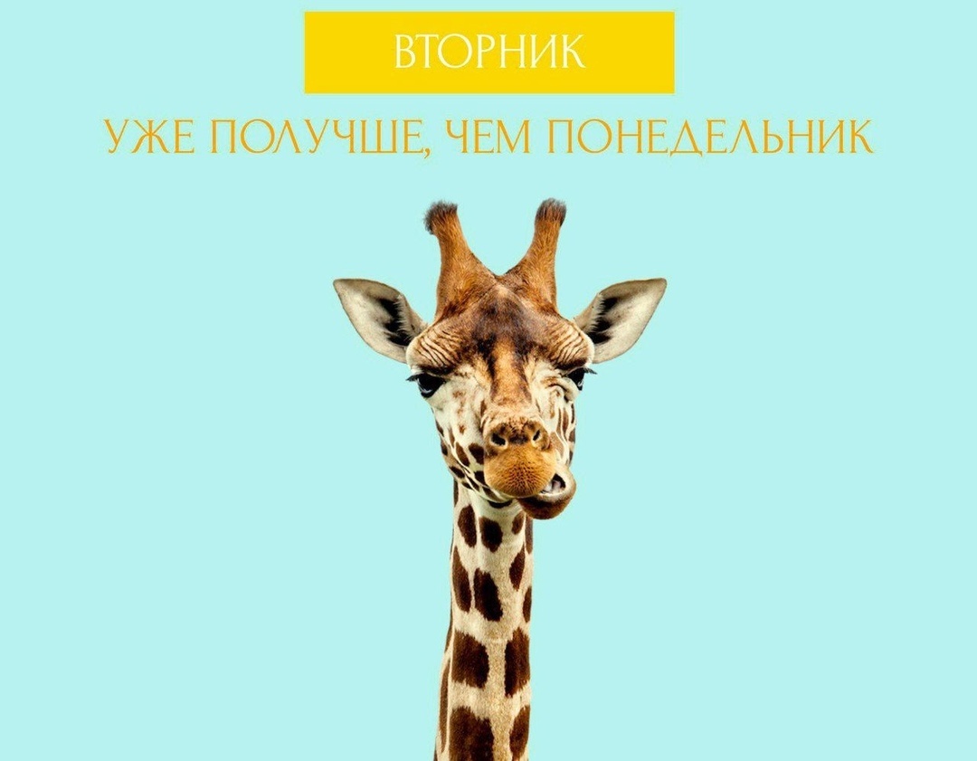 Иллюстрация с просторов сети интернет. 