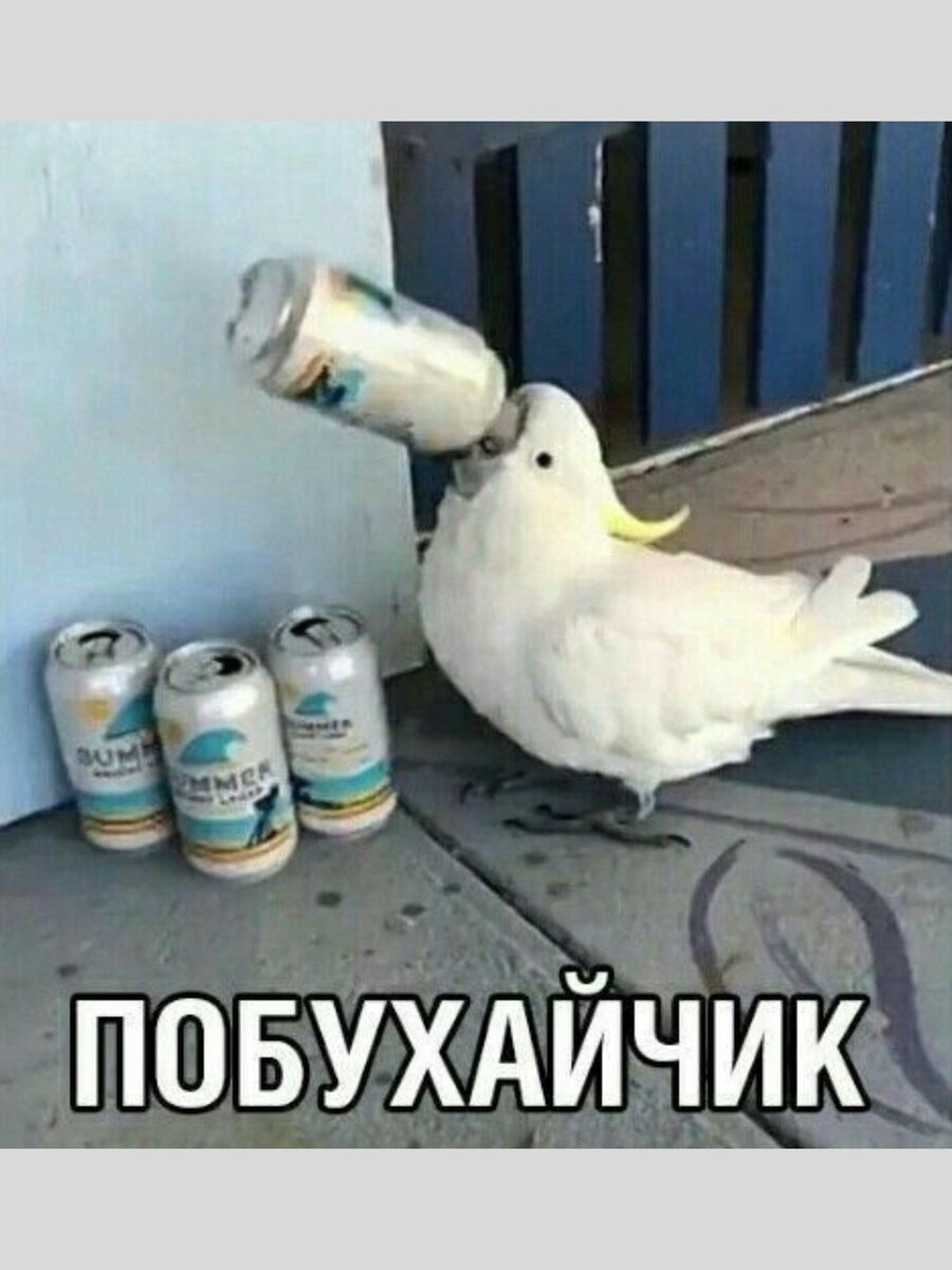-8