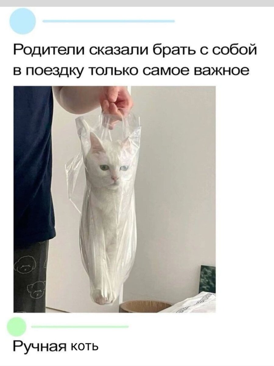 -11