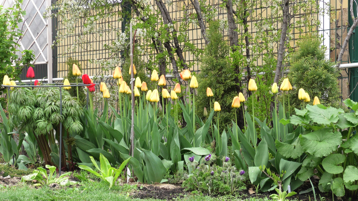 Фото автора канала Дом с кипарисами