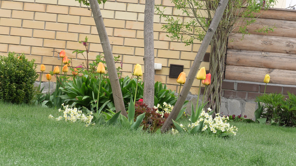 Фото автора канала Дом с кипарисами