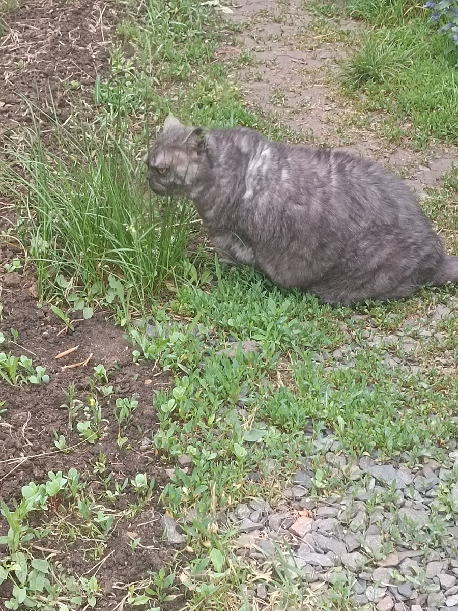 Так пасутся прынцессы😂