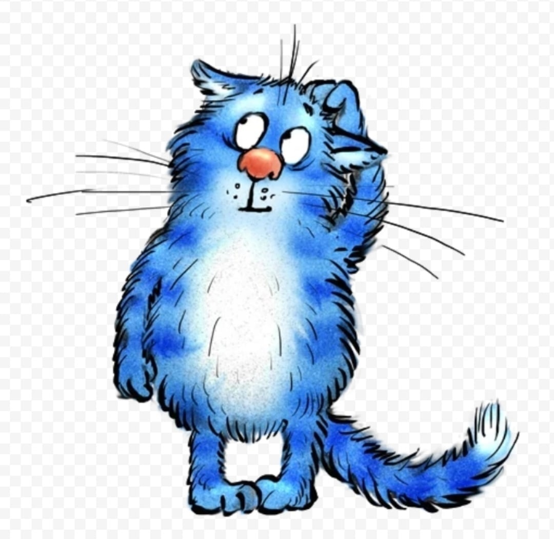 Задумчивый котик Рины Зенюк