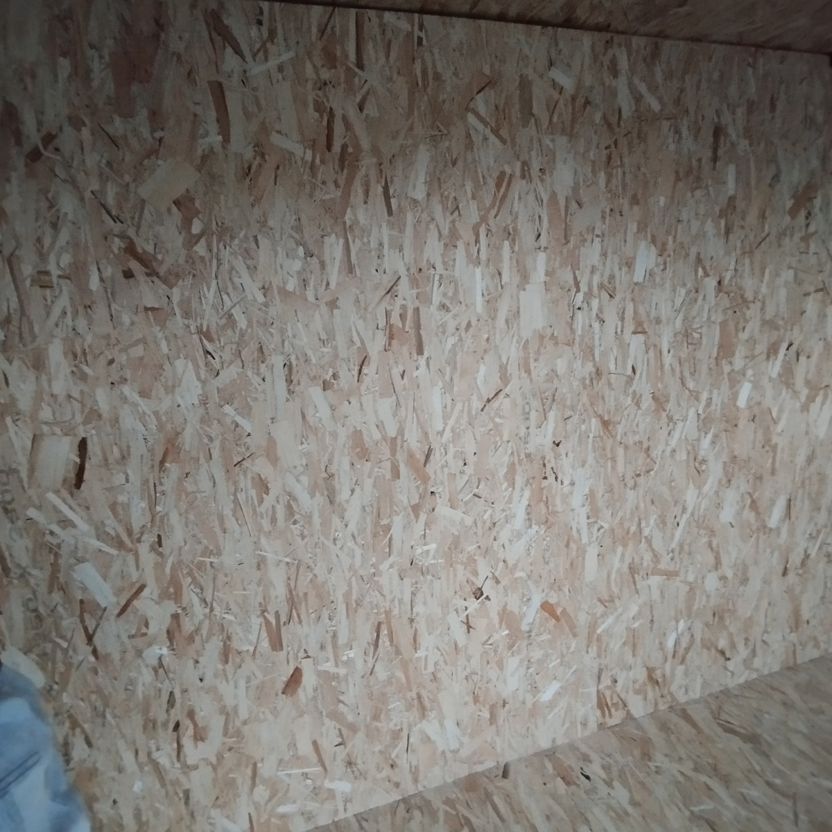 Плиты ОСБ на полу, потолке и стенах. Фото из личного архива.
