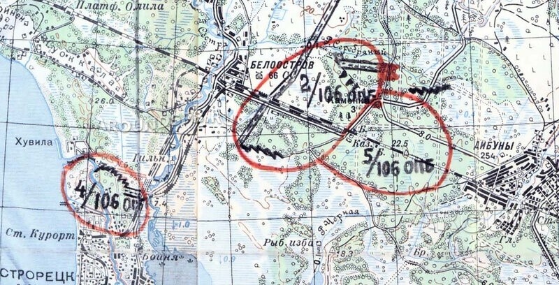 Белоостровский батальонный район обороны, описываемый ДОТ расположен но центру карты