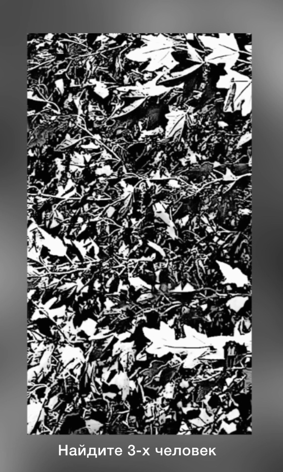 Тест на воображение 