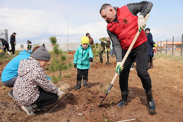 На территории кофеобжарочного завода Poetti в Твери высажено 80 деревьев