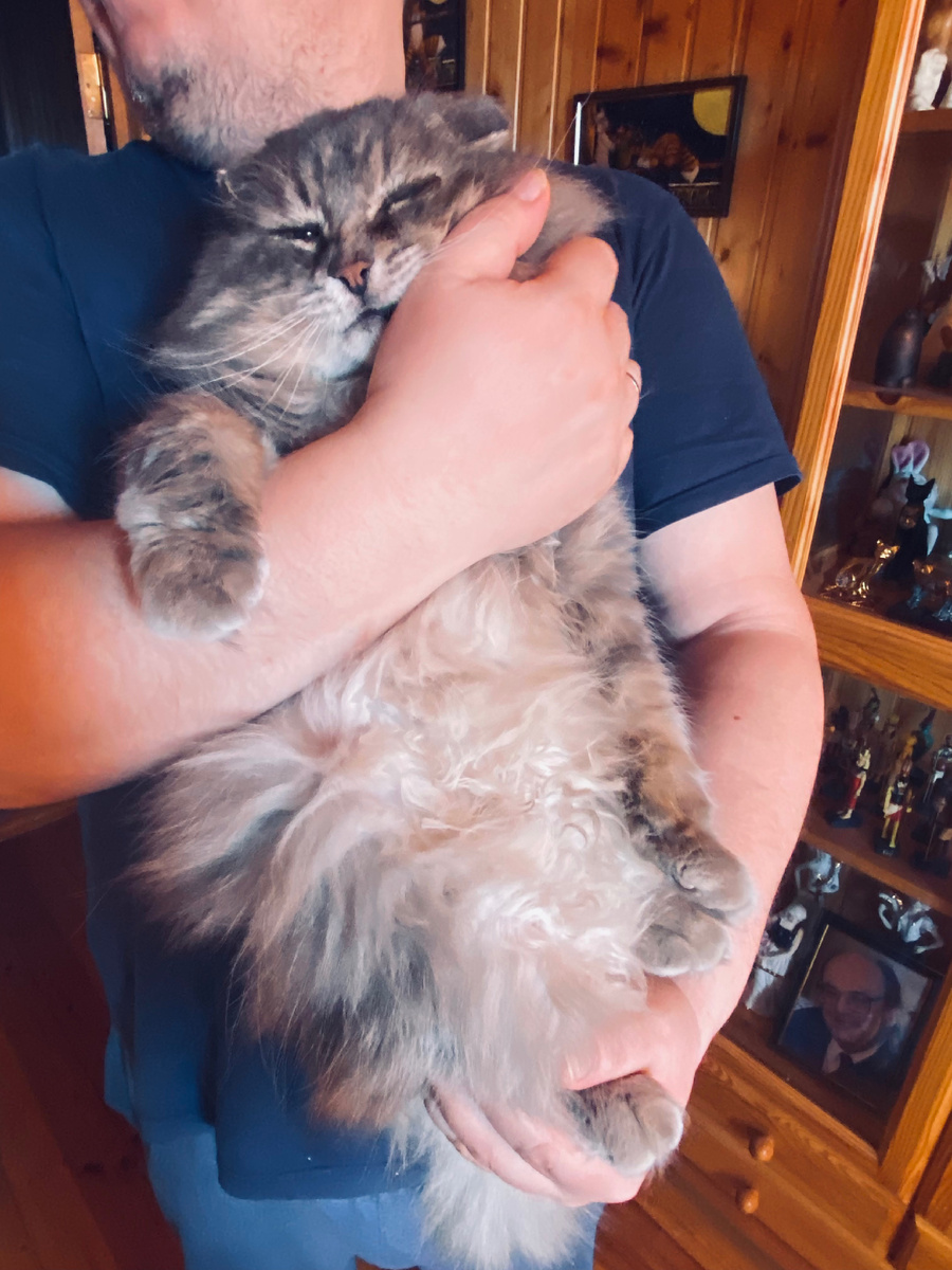  Куда идем мы с Главкотом??