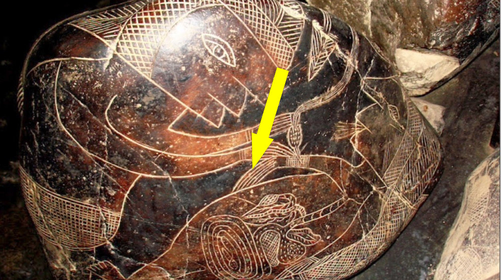    Тайна камней Ики Лженаука или запретная правда о динозаврах и людях