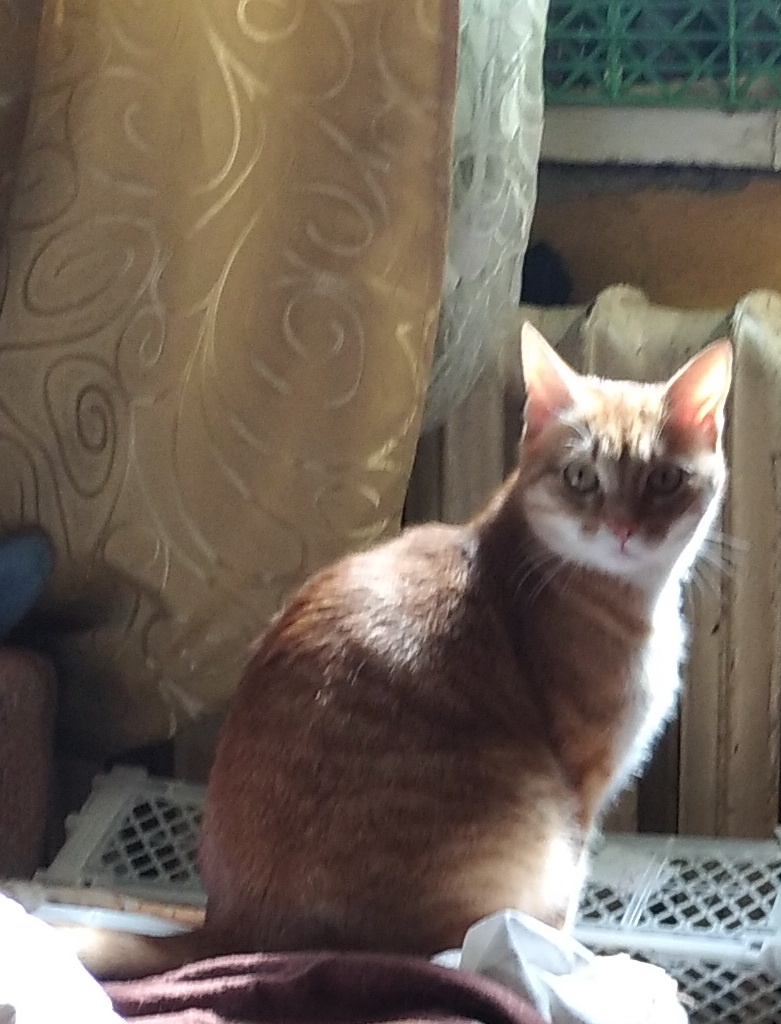 личное фото