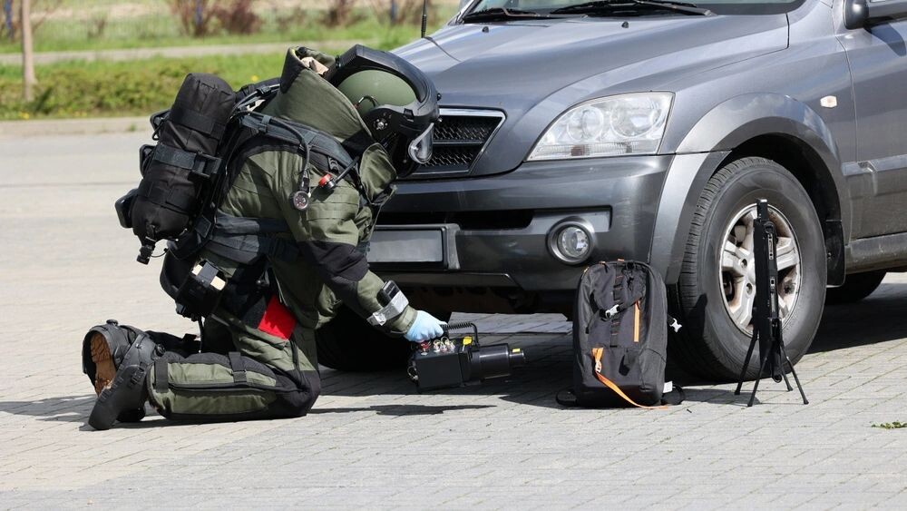    Фото: FotoDax/Shutterstock/Fotodom