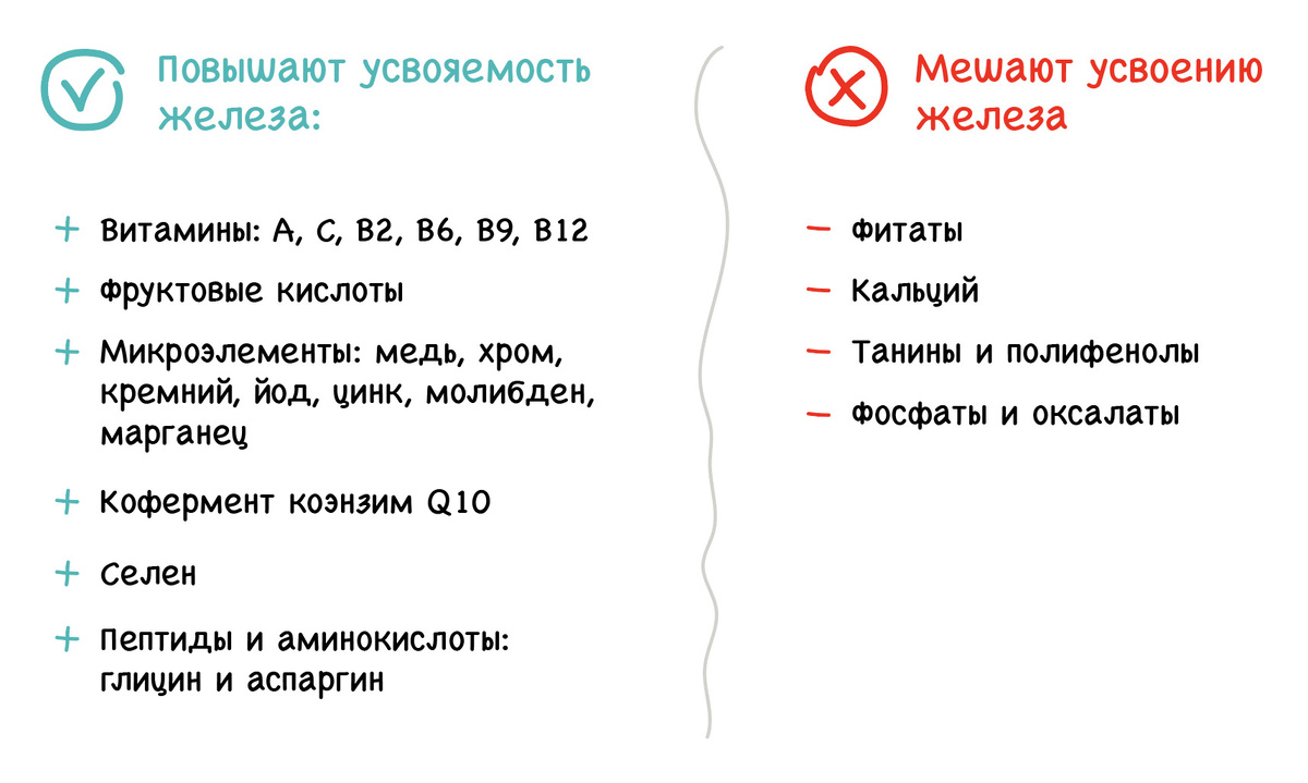 кофакторы, влияющие на усвоение железа