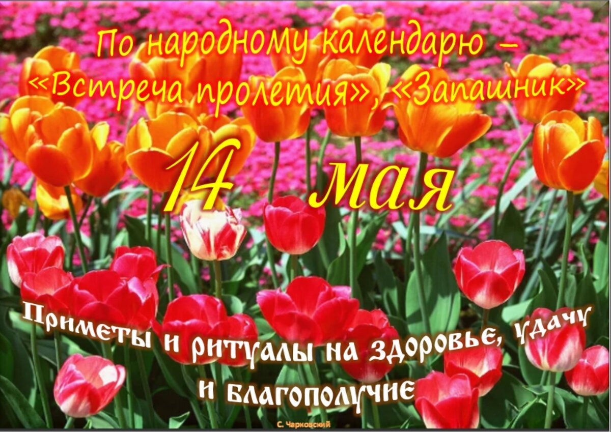 Встречаем новый день